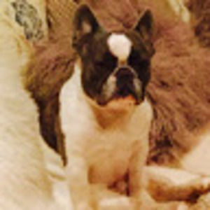 Meet your Posher, Ned